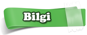 bilgi