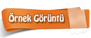 Oyunun Örnek Görüntüleri