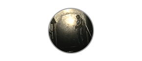 resident-evil-hd-remaster-icon
