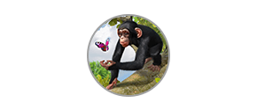 Zoo Tycoon 2 The Ultimate Collection - İcon