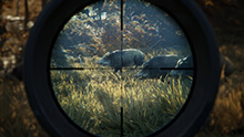 theHunter: Call of the Wild Yükle