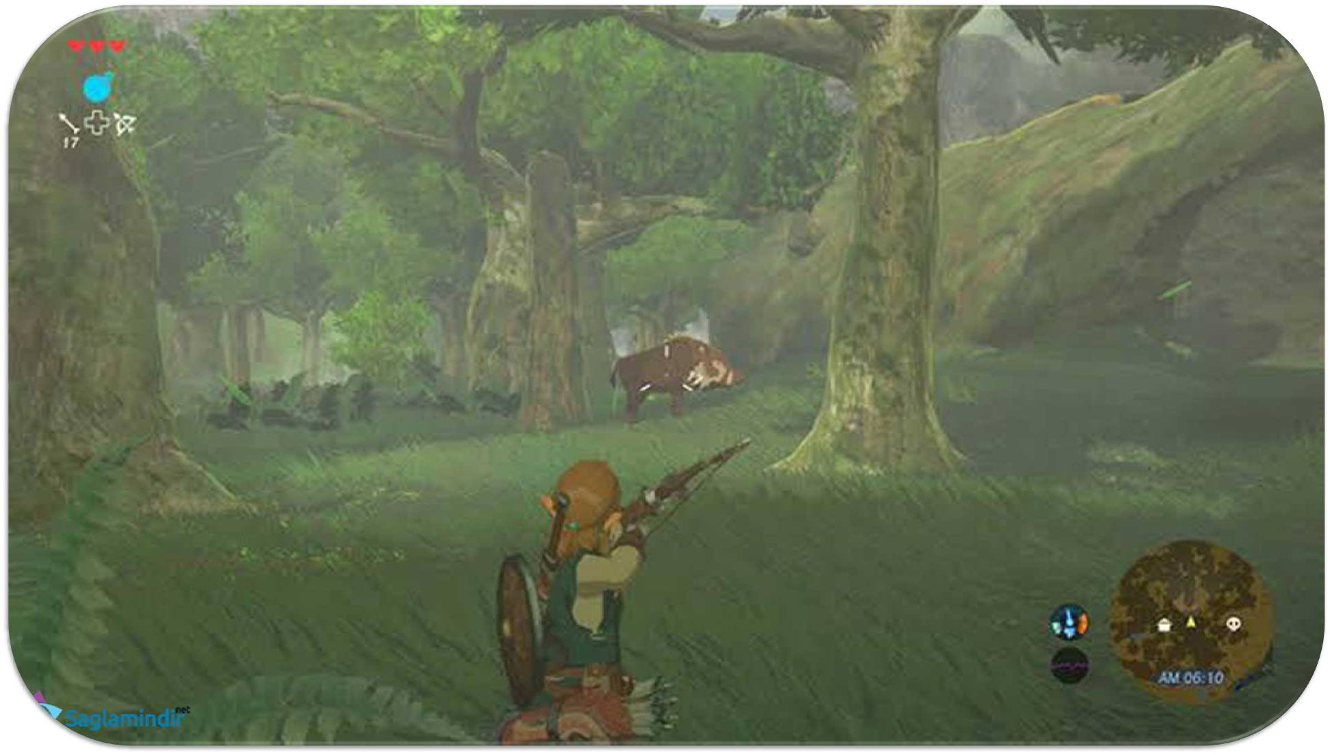 The Legend of Zelda Breath of the Wild saglamindir