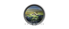 Northgard icon