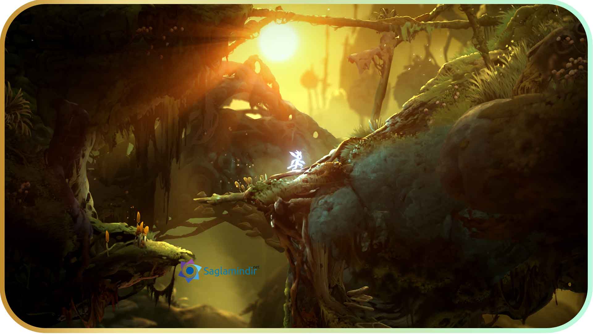 Ori and the Will of the Wisps torrent indir