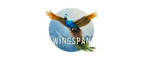 Wingspan icon